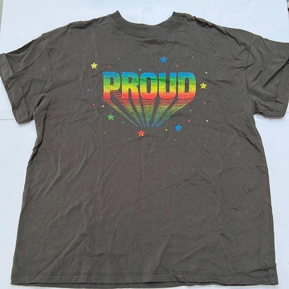 Girl Dangerous Gay Pride Proud T Shirt Rainbow Size Small